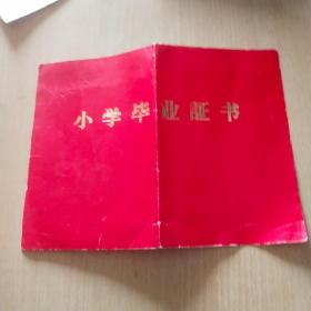 1989年小学毕业证书