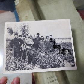 黑白老照片一张：有毛泽东和江青等和陪同人员在视察工作【背面有文字记录，详见图示，有历史价值】