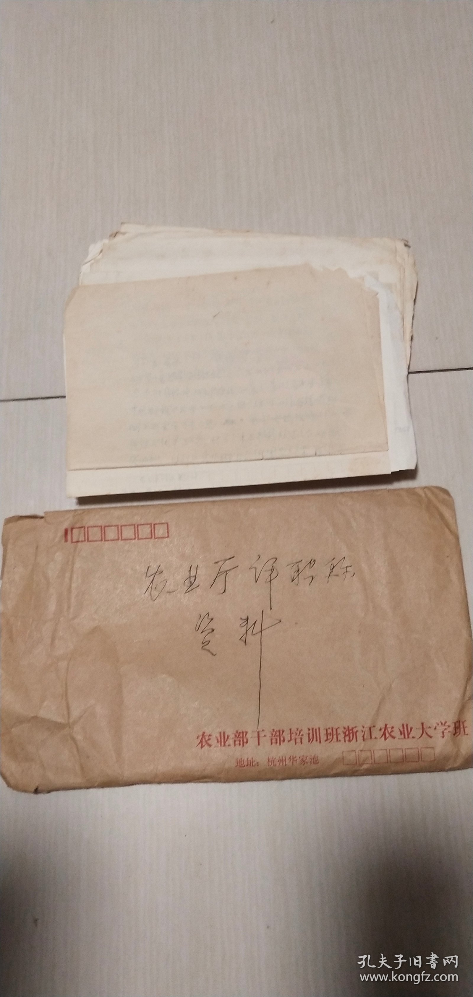 九十年代浙江省农业厅评职称资料文字稿：包括有陈显炯3页朱成鹏一页任志坚3页陈印2页庄鼎正4页黄月沪4页吴承德3页叶圣楷一页章灿正一页俞业梁一页潘鹏飞一页王毅二页张朝明4页计士雄2页叶钧2页俞锡棠一页张达昂一页王强华一页周士源一页陈时托3页共计41页一起合售