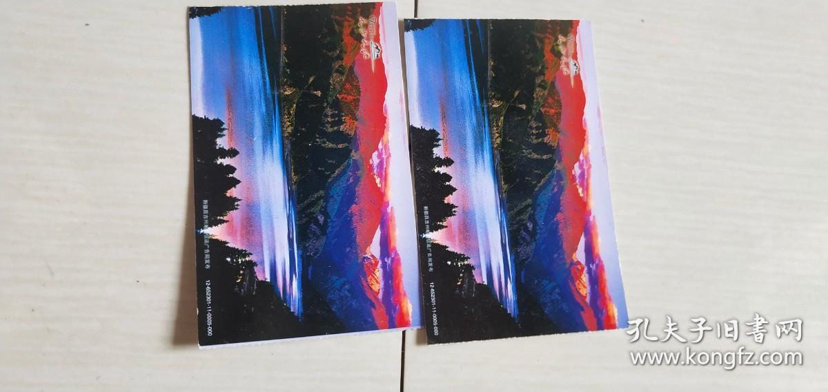 马踏飞燕2009邮资明信片（面值80分2张合售）