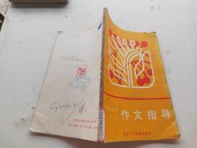 六年制小学六年级作文指导