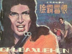 除霸雪恨