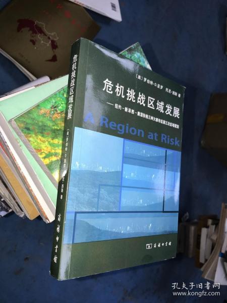 危机挑战区域发展：纽约、新泽西、康涅狄格三州大都市区第三次区域规划