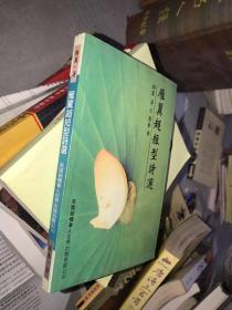 雁翼超短型诗选（作者签名本）