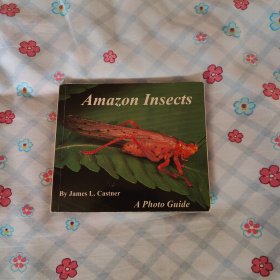 amazon insects 亚马逊昆虫