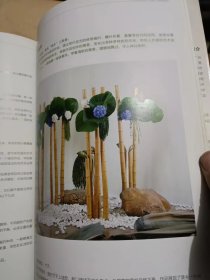 插花教程图解 设计篇.