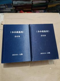 小小说选刊2019年合订本 精装两册1-24期