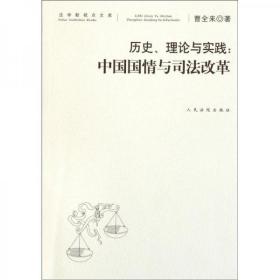 历史、理论与实践：中国国情与司法改革