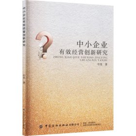 中小企业有效经营创新研究 管理理论 年旻 新华正版