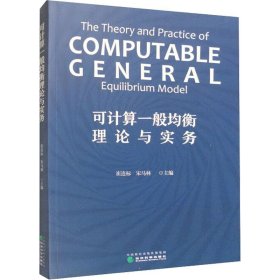 可计算一般均衡理论与实务