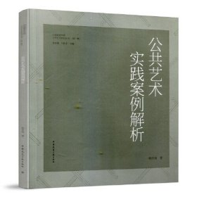 公共艺术实践案例解析9787112178827