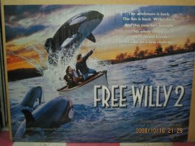 【英国原版收藏海报】威鲸闯天关 ２ Free Willy 2 (1995年) *绝版限量