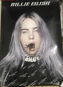 怪奇比莉 Billie Eilish 当我们睡了 怪事发生了【台版宣传海报】全新