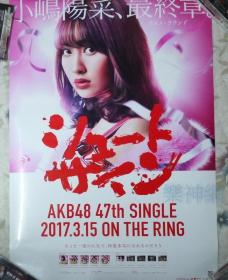 AKB48 娘娘 小嶋阳菜 Shoot Sign【原版宣传海报】全新!