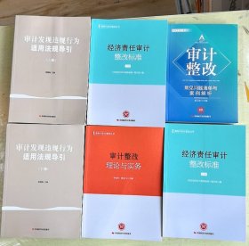 包邮 审计发现违规行为适用法规导引上下册+审计整改理论与实务+审计整改常见问题清单与案例解析 +经济责任审计整改标准上下册 全6本书 j