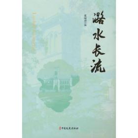 土石坝抗震计算理论与应用——本构·流固耦合·地震动输入