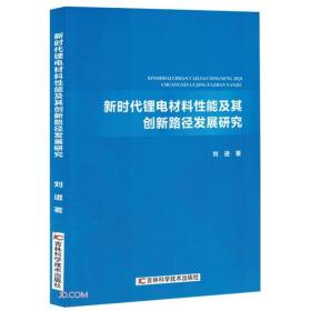 新时代锂电材料性能及其创新路径发展研究