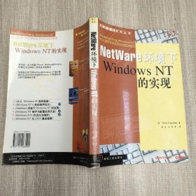 NetWare环境下Windows NT的实现