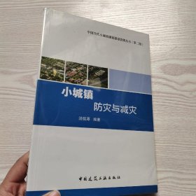 中国当代小城镇规划建设管理丛书：小城镇防灾与减灾（第二版）(馆藏新书).