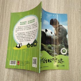 迪士尼经典故事丛书：熊猫回家路