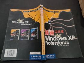 精通中文版Windows XP Professional——轻松体验Windows XP系列