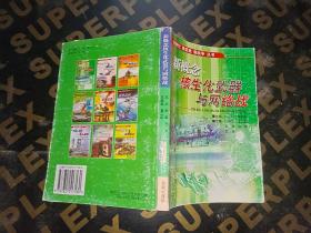 新概念核生化武器与网络战——新世经·新武器·新战争丛书