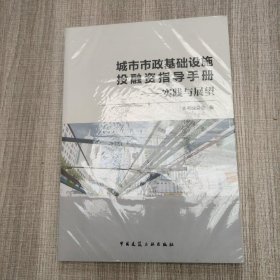 城市市政基础设施投融资指导手册 : 实践与展望（馆藏新书），