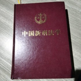 中国新刑法学