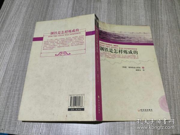 全球百大名著系列：钢铁是怎样练成的（插图本）