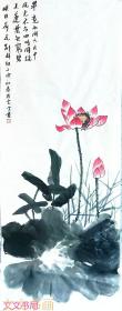 崔雯雯      映日荷花别样红