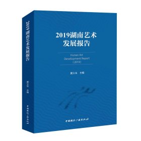 2019湖南艺术发展报告