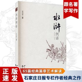 水滸例話 花山文藝出版社 王力平 著 中國現(xiàn)當(dāng)代文學(xué)