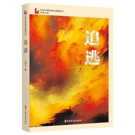 追逃（中国专业作家作品典藏文库·石钟山卷）