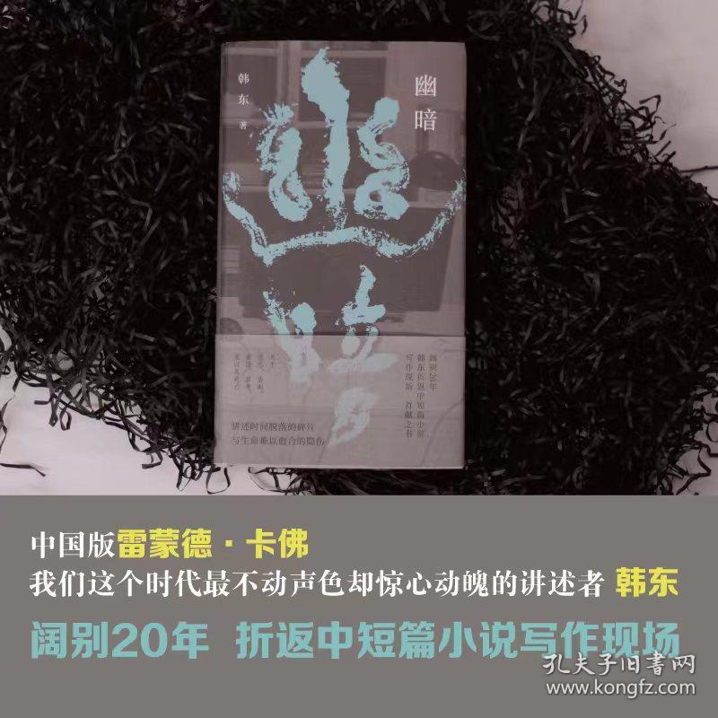 （精装）幽暗(鲁迅文学奖得主韩东中短篇小说选集)