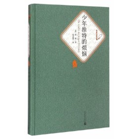 少年维特的烦恼（精装版）