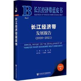 长江经济带发展报告2020-2021