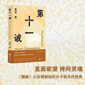 第十一诫 （年轻知识分子的忏悔录 直面欲望、拷问灵魂，《围城》之后讽刺知识分子的当代经典）