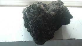 兩塊河撈陰沉木