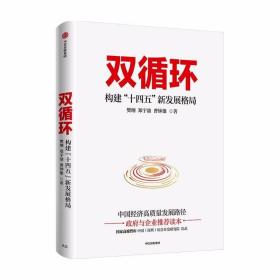 双循环构建十四五新发展格局双循环与我们的关系樊纲作品国家高端智库出品政府和企业推荐读本