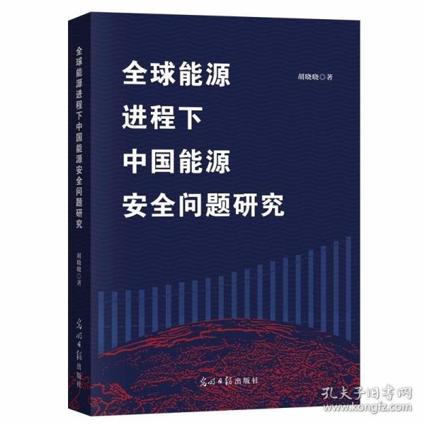 全球能源进程下中国能源安全问题研究