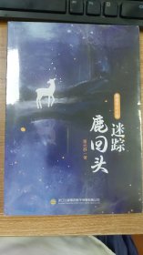 悬疑奇幻小说《鹿回头迷踪》