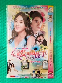 有一种爱叫做放手 2DVD-9