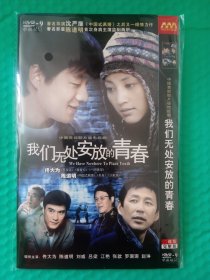 我们无处安放的青春 2DVD-9