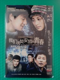 我们无处安放的青春 2DVD-9