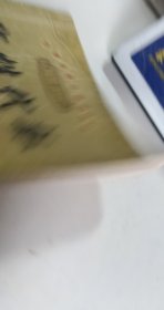 线性代数学习指导与提高理工类【1本】