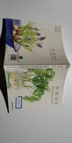 植物绘2：38种可爱盆栽的色铅笔图绘