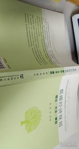 低碳经济规划：理论·方法·模型