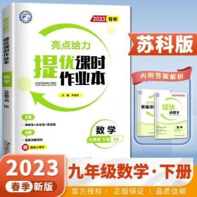 2023春亮点给力提优课时作业本九年级数学下册江苏专用版初三9年级同步跟踪分类专项复习训练习册教辅资料