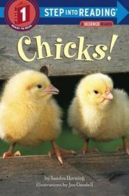 【英文原版】Chicks!(Step into Reading, Step 1) 小鸡