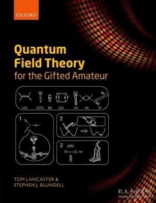 Quantum Field Theory for the Gifted Amateur